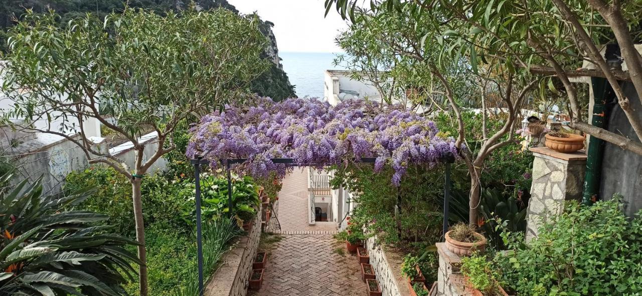 Hotel 4 Stagioni Capri Exteriér fotografie