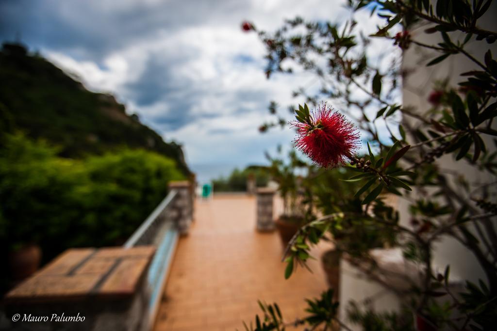 Hotel 4 Stagioni Capri Exteriér fotografie