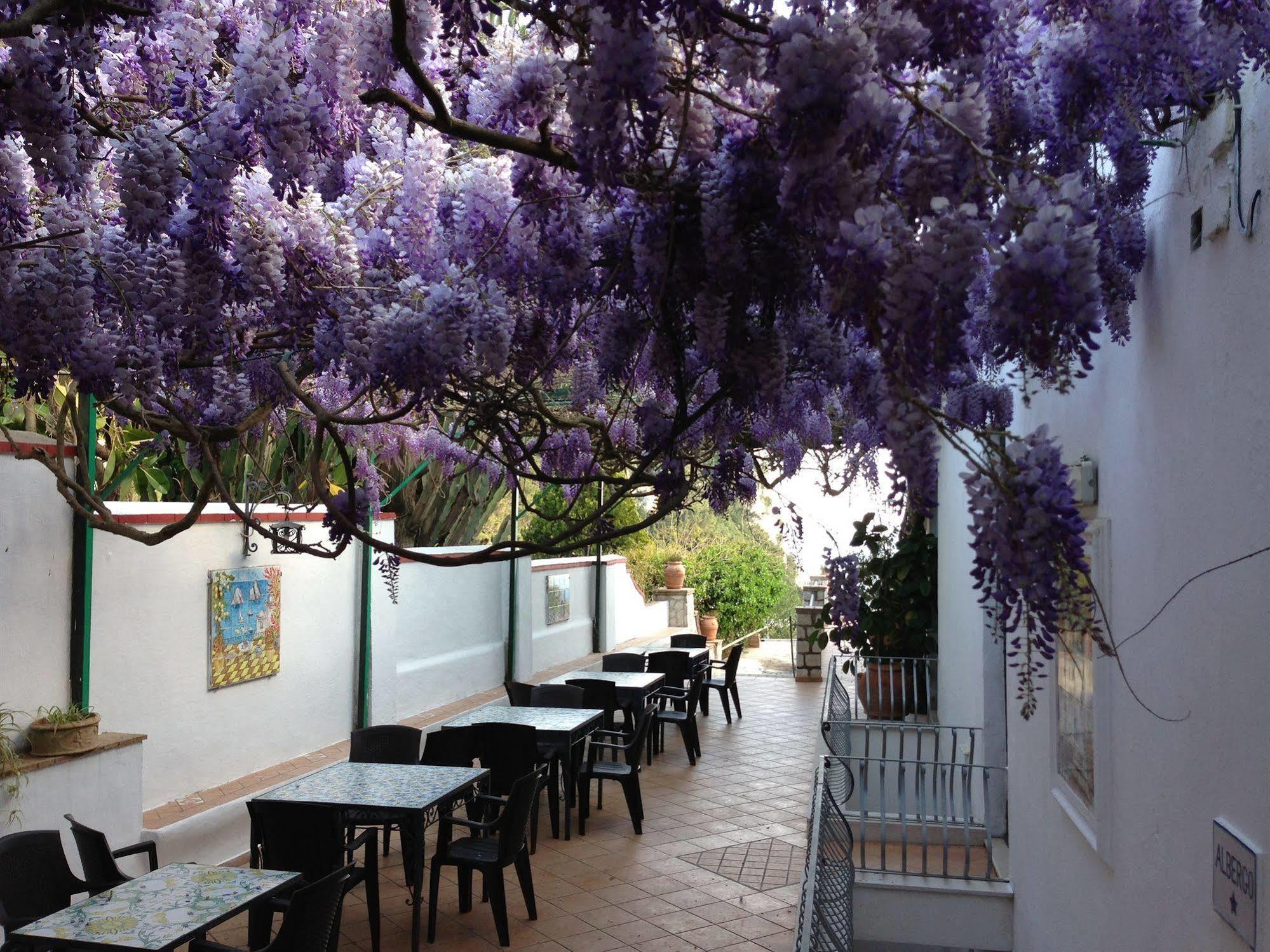 Hotel 4 Stagioni Capri Exteriér fotografie